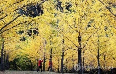 까치가 왜 우리 시 상징?…유래 모를 지자체 상징물