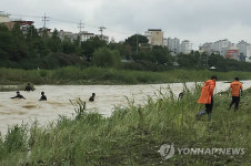 폭우로 불어난 하천에 노인 빠져 실종