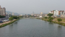 보령 도심 관통 대천천 고향의 강 탈바꿈