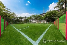 서울월드컵경기장, 천연잔디 다목적 구장 조성