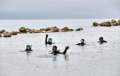 [연합이매진] 스쿠버다이빙, 평온한 바닷속 유영하다