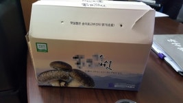 버섯농장 사업미끼 17억 챙긴 유사수신 조직 적발