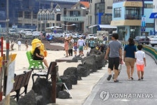 제주 월정해변의 여름