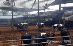 경주 39.7도로 작년 최고기온 넘어…경산은 39.3도 연일 찜통