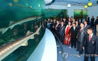 북한 대륙간탄도미사일 발사 관계자 평양 참관