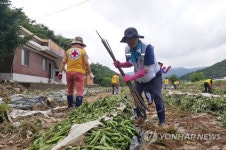 침수 피해 밭 복구 작업하는 적십자