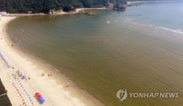 녹조 발생 다대포해수욕장