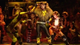 여름방학 뭐 볼래?…가족 뮤지컬 정글북 vs 캣츠