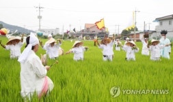용전들노래를 부르세