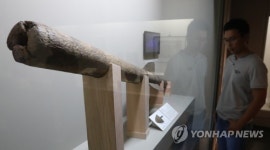 대장군전 국내 최초 공개