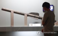 대장군전 국내 최초 공개