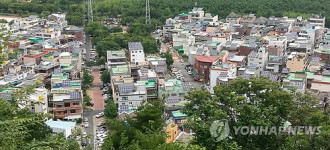 울산 남구 태양광 발전마을 삼호동 철새마을 그린빌리지