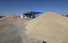 [한국ㆍ터키 수교 60년] 주유소에 밀이?