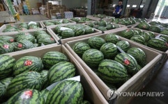 여름엔 수박