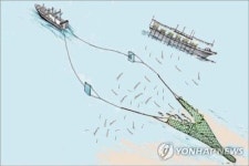 채낚기어선 등 켜고, 트롤선이 싹쓸이… 불법 오징어잡이 극성