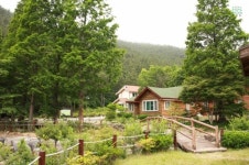 서천 국립 희리산 자연휴양림 해송 숲 속 영화관 개장