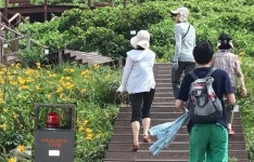 신안 홍도, 최첨단 스마트 마을로 탈바꿈