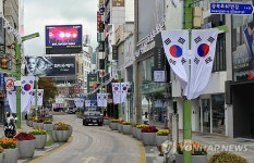 태극 물결 넘실대는 부산 광복로