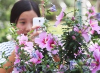 나라꽃 무궁화 구경해요