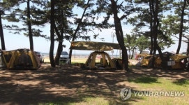 몽산포 해변 텐트촌