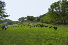 [연합이매진] 아무도 모르는 데 가야 진짜 휴가