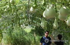 폭염속 입추