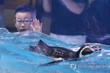 대구신세계, 훔볼트 펭귄 입학식