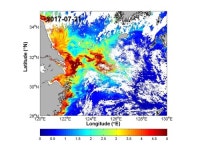 중국발 저염분수 제주·남해로 확산…양식장 피해 우려