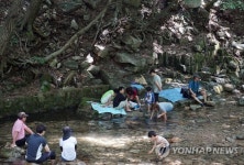 계룡산계곡에서 한여름 더위 씻어요