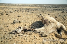 초록우산어린이재단, 동아프리카 대기근 긴급구호