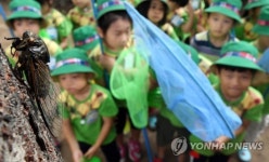 매미야 놀자 성동구 매미교실