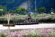 하동 배드리공원서 코스모스·호박축제 열린다