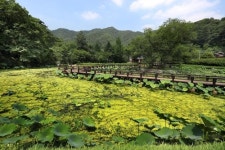 [연합이매진] 물 두드리는 소리와 걷는 수타사 산소길