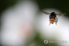 잘 먹었습니다