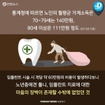 [카드뉴스] 건강한 치아가 오복이라고?