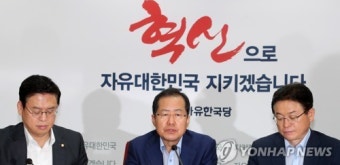 홍준표, 정부 대북정책 비판