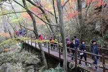 속리산 세조길 세심정까지 연결…올해 300ｍ 늘려