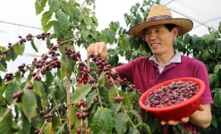 [100세 시대 인생플랜](17) 열정의 바리스타 격조있는 인생2막