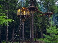 9m 나무 위에 짓고 양곡창고 개조하고…오두막에 살으리랏다