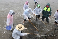즐거운 별주부마을 독살체험