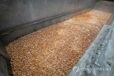 [살충제 계란 파문] 지금도 비싼데 추석 앞두고 금란 되나…시장불안 불가피