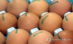 08이 새겨진 경기도 계란