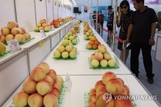 옥천 복숭아 인도네시아 시장 진출…현지서 판촉행사