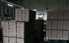 출하 기다리는 달걀