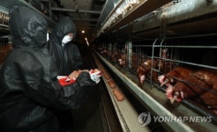 계란 수거하는 검사요원들