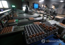 양계농가 긴장