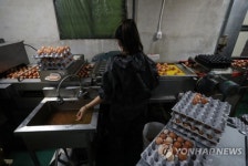 양계농가 긴장
