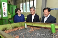 잣 공정 살피는 산림청장