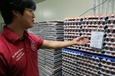 반품요구 늘고 주문은 끊기고…잠도 안 와요