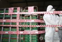 살충제 검출된 농장 계란 압류조치